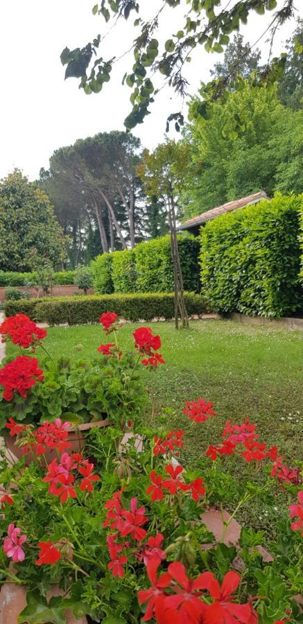 Villa La Casa Di Gigliola Monticiano Exterior foto