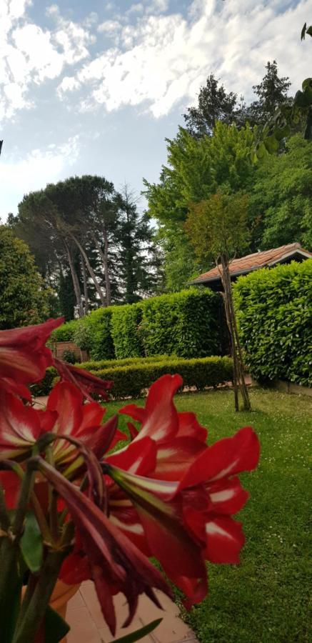 Villa La Casa Di Gigliola Monticiano Exterior foto
